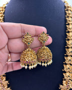 Divine Lakshmi temple jewelry set NK-009